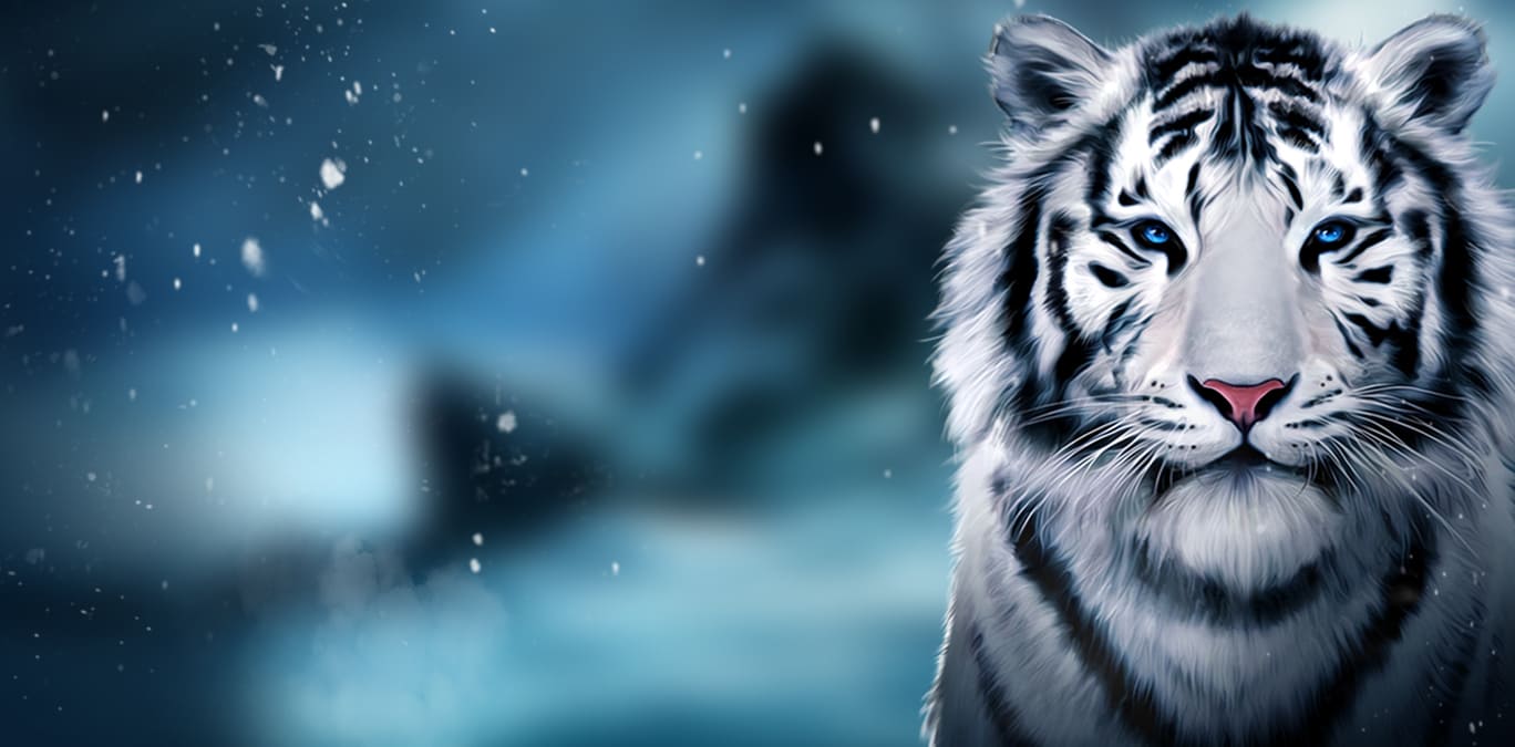 Siberian Storm slot background - DoubleDown Casino